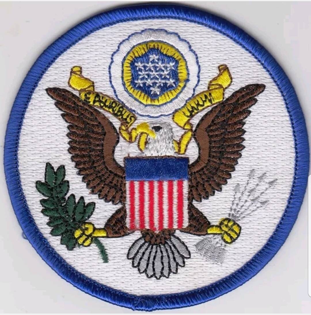 20 Pcs US SEAL (White Blue) Embroidered Patches 3.5" Dia. iron-on