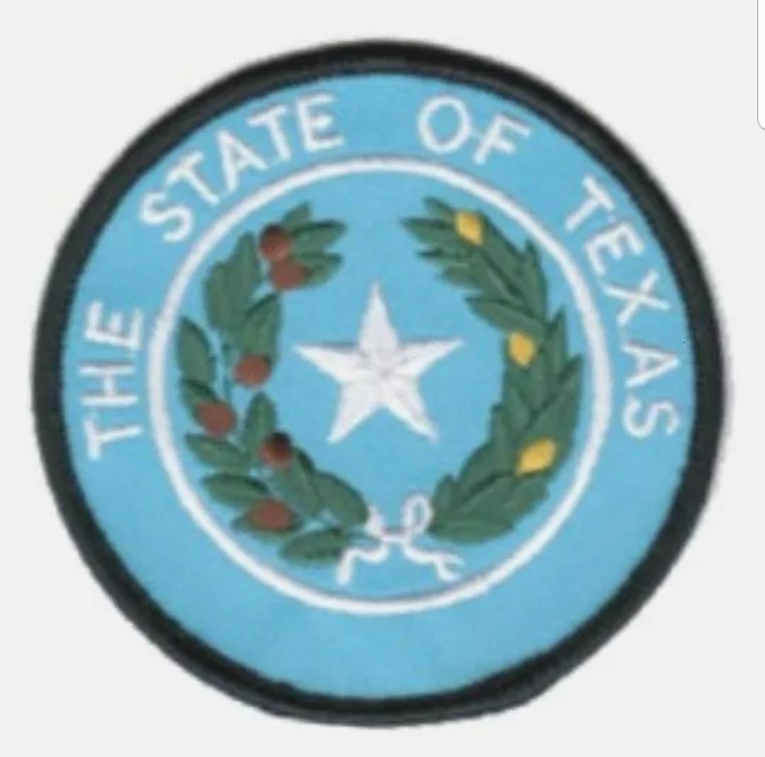 Pack of 10 TEXAS State Seal Patch 3"x3" Iron On or Sew On Fast Shipping