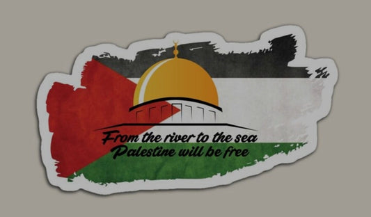 2 piece set of Free Palestine embroidered patch for jacket iron-on, front and large back patch