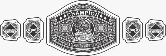 Customized Championship Belts Of Any Design and type, Convert your concepts into reality